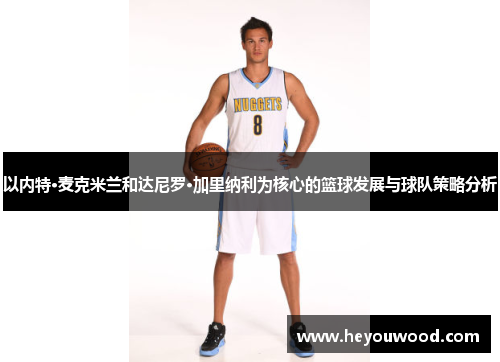 以内特·麦克米兰和达尼罗·加里纳利为核心的篮球发展与球队策略分析