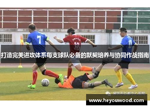 打造完美进攻体系每支球队必备的默契培养与协同作战指南