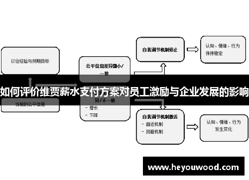 如何评价维贾薪水支付方案对员工激励与企业发展的影响