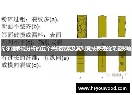 希尔德表现分析的五个关键要素及其对竞技表现的深远影响