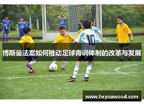 博斯曼法案如何推动足球青训体制的改革与发展