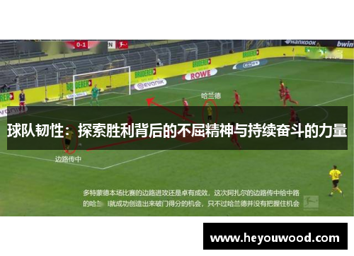 球队韧性：探索胜利背后的不屈精神与持续奋斗的力量