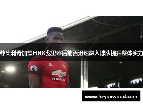 菲奥利奇加盟HNK戈里察后能否迅速融入球队提升整体实力