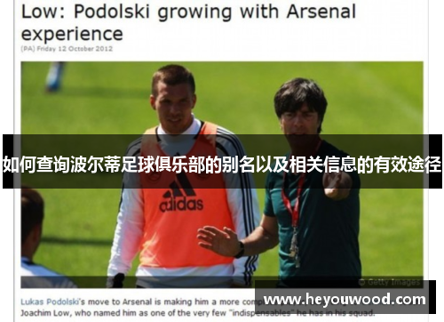 如何查询波尔蒂足球俱乐部的别名以及相关信息的有效途径