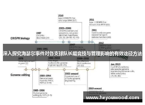 深入探究海瑟尔事件对各支球队长期竞技与管理影响的有效途径方法 深入探究海瑟尔事件对各支球队长期竞技与管理影响的有效途径方法